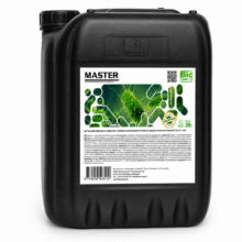 Master